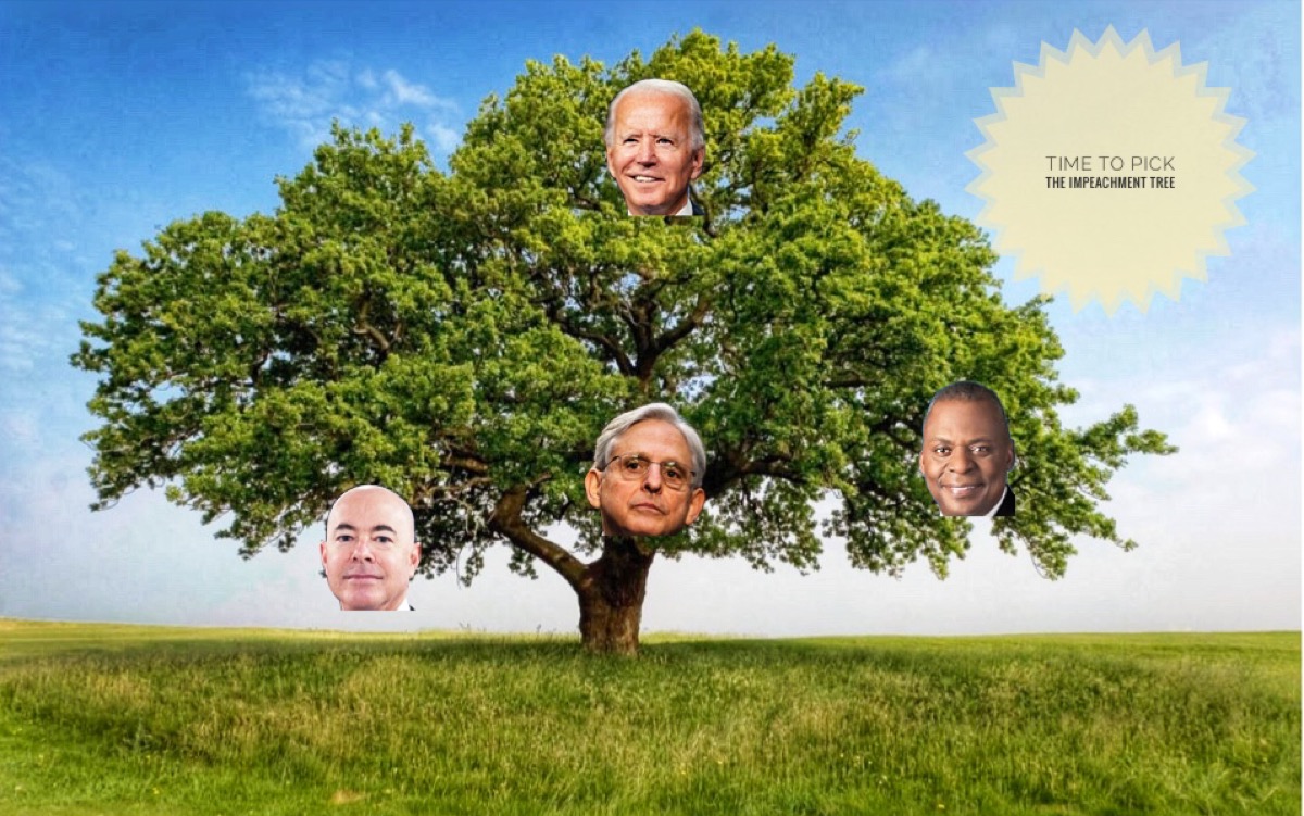 Impeachment Tree Blank Meme Template