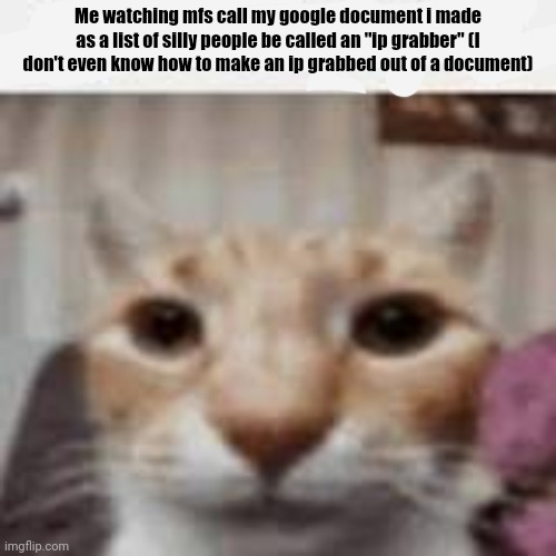 My Honest Reaction | Me watching mfs call my google document i made as a list of silly people be called an "ip grabber" (I don't even know how to make an ip grabbed out of a document) | image tagged in my honest reaction | made w/ Imgflip meme maker