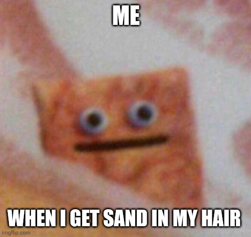 Sandy hair | ME; WHEN I GET SAND IN MY HAIR | image tagged in cinnamon toast crunch | made w/ Imgflip meme maker