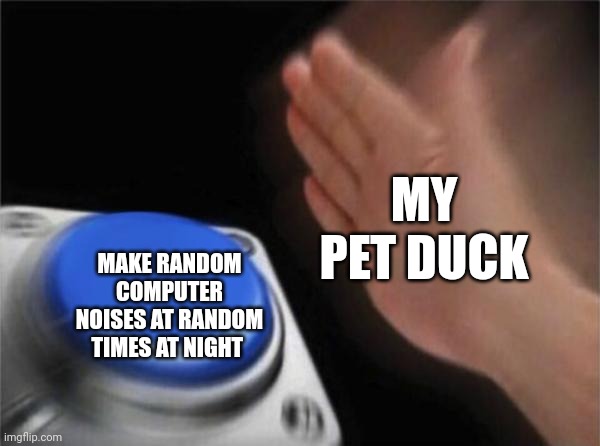 Why does Mr quackers make computer noises?!?!? | MY PET DUCK; MAKE RANDOM COMPUTER NOISES AT RANDOM TIMES AT NIGHT | image tagged in memes,blank nut button | made w/ Imgflip meme maker