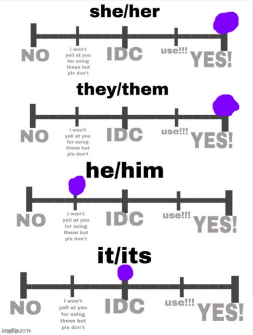 lil pronoun check !! | made w/ Imgflip meme maker