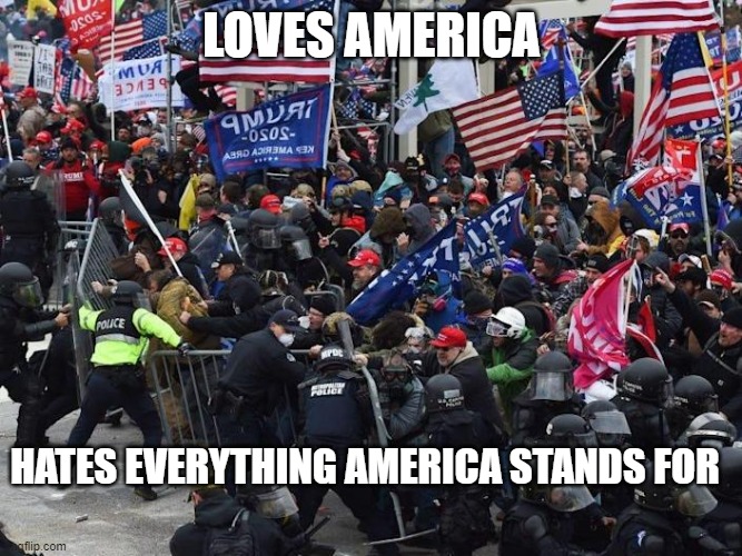 America | LOVES AMERICA; HATES EVERYTHING AMERICA STANDS FOR | image tagged in cop-killer maga right wing capitol riot january 6th,hate,america,maga,patriots | made w/ Imgflip meme maker