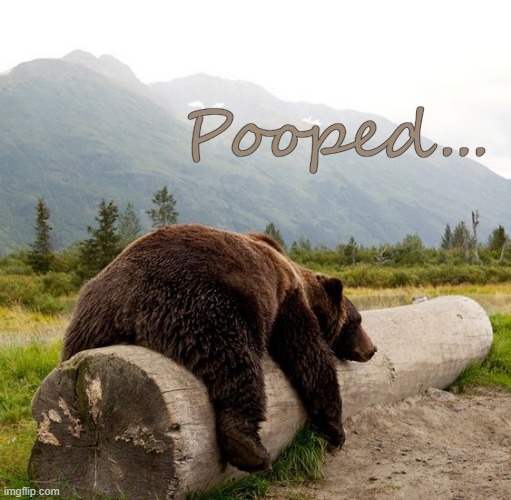 Pooped... | made w/ Imgflip meme maker