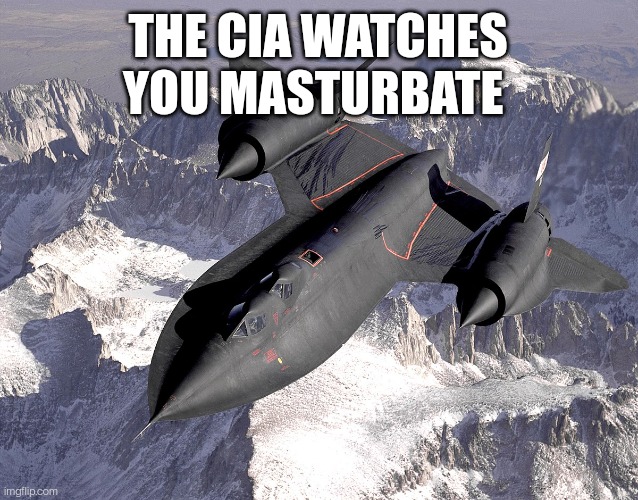 SR-71 Blackbird | THE CIA WATCHES YOU MASTURBATE | image tagged in sr-71 blackbird,floggit | made w/ Imgflip meme maker