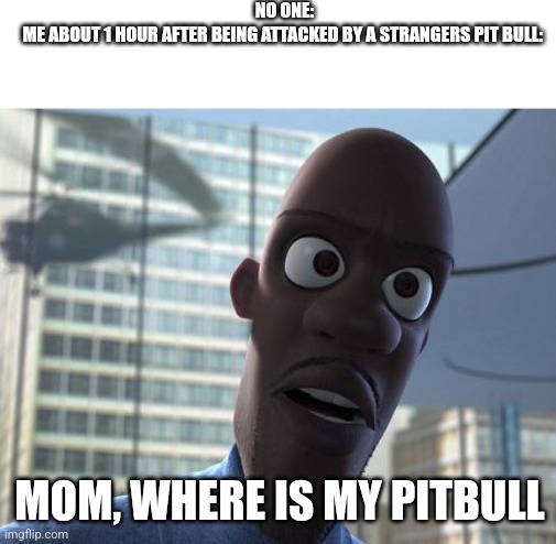 where is my supersuit | NO ONE:

ME ABOUT 1 HOUR AFTER BEING ATTACKED BY A STRANGERS PIT BULL:; MOM, WHERE IS MY PITBULL | image tagged in where is my supersuit | made w/ Imgflip meme maker