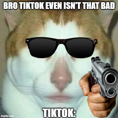 Sigma Cat | BRO TIKTOK EVEN ISN'T THAT BAD; TIKTOK: | image tagged in sigma cat | made w/ Imgflip meme maker