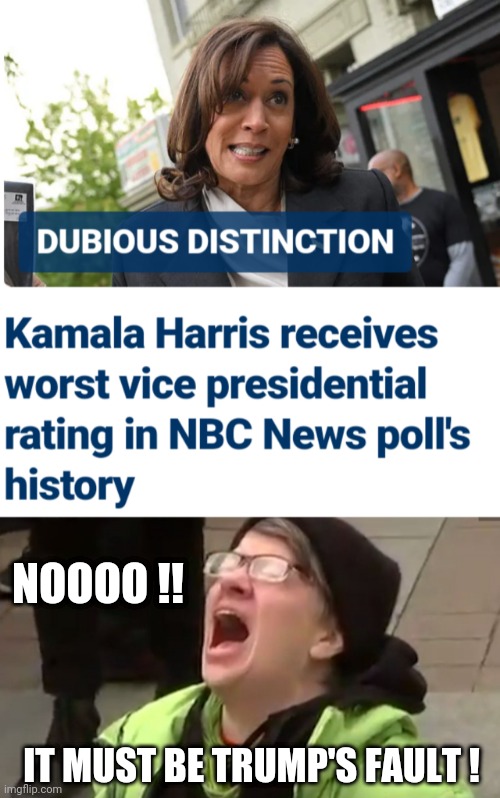 Go Woke, No Vote | NOOOO !! IT MUST BE TRUMP'S FAULT ! | image tagged in screaming liberal,harris,democrats,liberals | made w/ Imgflip meme maker