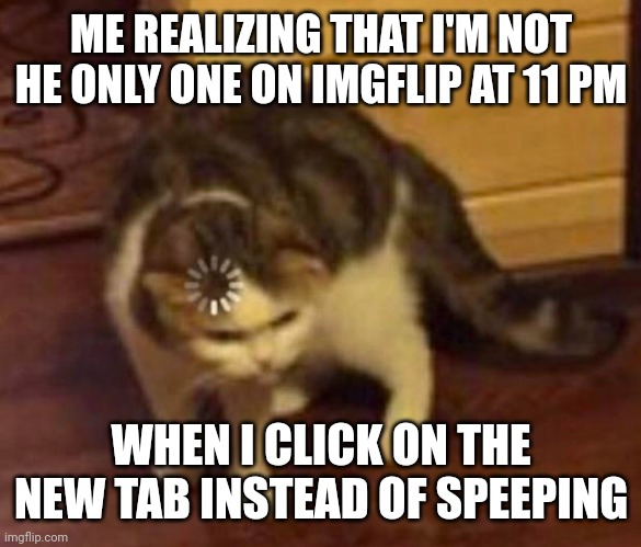 Thinking Cat | ME REALIZING THAT I'M NOT HE ONLY ONE ON IMGFLIP AT 11 PM; WHEN I CLICK ON THE NEW TAB INSTEAD OF SPEEPING | image tagged in thinking cat | made w/ Imgflip meme maker