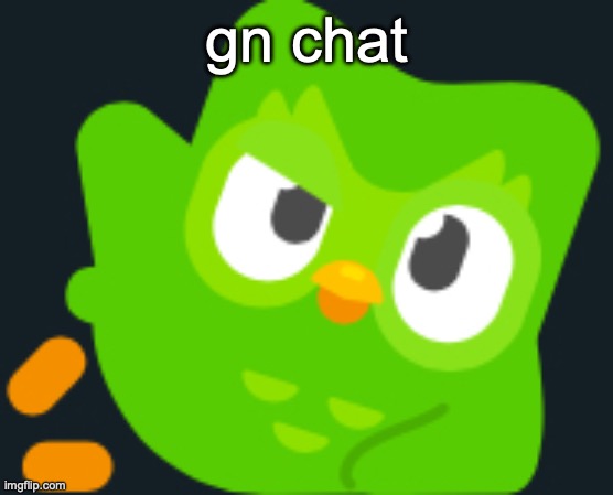 Duo rizz | gn chat | image tagged in duo rizz | made w/ Imgflip meme maker
