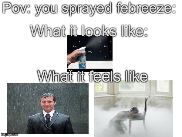 Trye | Pov: you sprayed febreeze:; What it looks like:; What it feels like | image tagged in memes,funny memes | made w/ Imgflip meme maker