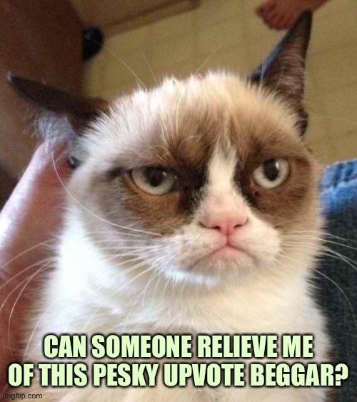 Grumpy Cat Reverse Meme | CAN SOMEONE RELIEVE ME OF THIS PESKY UPVOTE BEGGAR? | image tagged in memes,grumpy cat reverse,grumpy cat | made w/ Imgflip meme maker