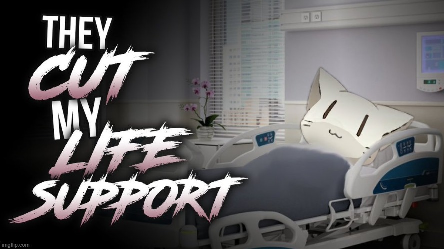 whitecat no!!! | made w/ Imgflip meme maker
