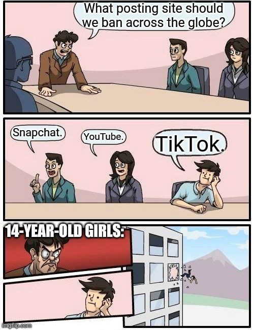 Boardroom Meeting Suggestion Meme | What posting site should we ban across the globe? Snapchat. YouTube. TikTok. 14-YEAR-OLD GIRLS: | image tagged in memes,boardroom meeting suggestion | made w/ Imgflip meme maker