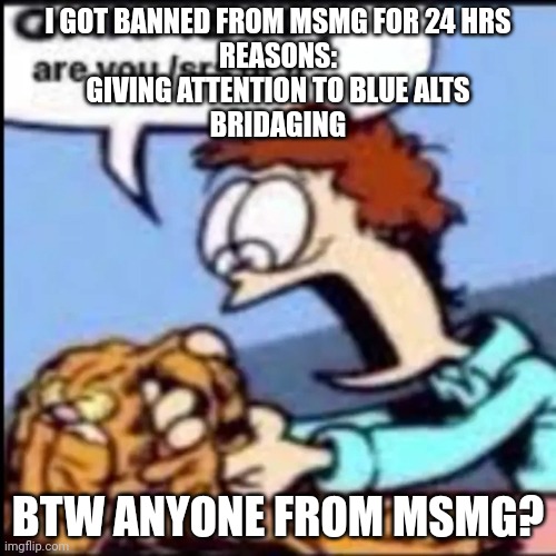 Garfield are you /srs or /j | I GOT BANNED FROM MSMG FOR 24 HRS
REASONS:
GIVING ATTENTION TO BLUE ALTS
BRIDAGING; BTW ANYONE FROM MSMG? | image tagged in garfield are you /srs or /j | made w/ Imgflip meme maker