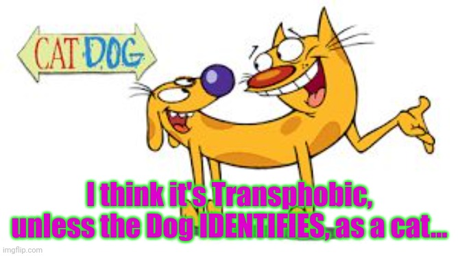 CatDog | I think it's Transphobic, unless the Dog IDENTIFIES, as a cat... | image tagged in catdog | made w/ Imgflip meme maker