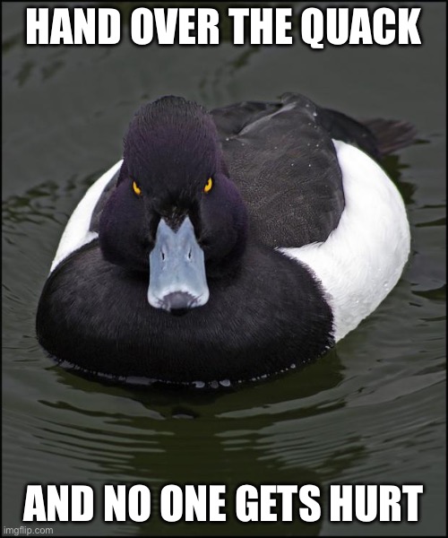 Angry duck | HAND OVER THE QUACK; AND NO ONE GETS HURT | image tagged in angry duck | made w/ Imgflip meme maker