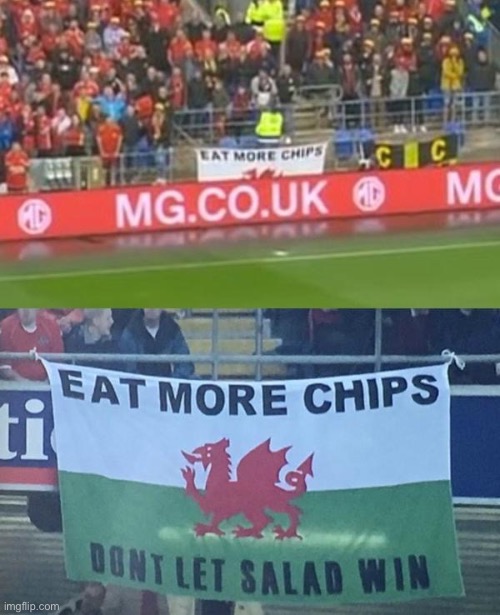 Welsh football fans | image tagged in football,wales,chips,salad | made w/ Imgflip meme maker