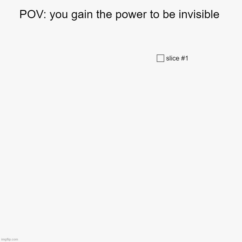 invisibl | POV: you gain the power to be invisible | | image tagged in charts,pie charts,invisible | made w/ Imgflip chart maker