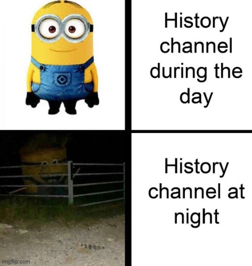 image tagged in memes | made w/ Imgflip meme maker