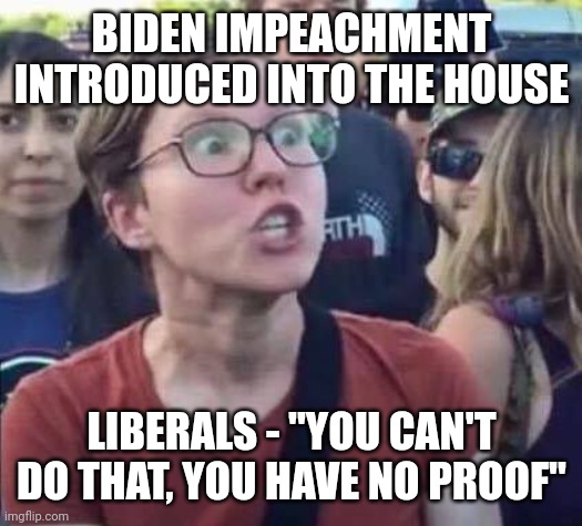 Angry Liberal | BIDEN IMPEACHMENT INTRODUCED INTO THE HOUSE; LIBERALS - "YOU CAN'T DO THAT, YOU HAVE NO PROOF" | image tagged in angry liberal | made w/ Imgflip meme maker