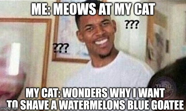 Nick Cannon Dafuq | ME: MEOWS AT MY CAT; MY CAT: WONDERS WHY I WANT TO SHAVE A WATERMELONS BLUE GOATEE | image tagged in nick cannon dafuq | made w/ Imgflip meme maker