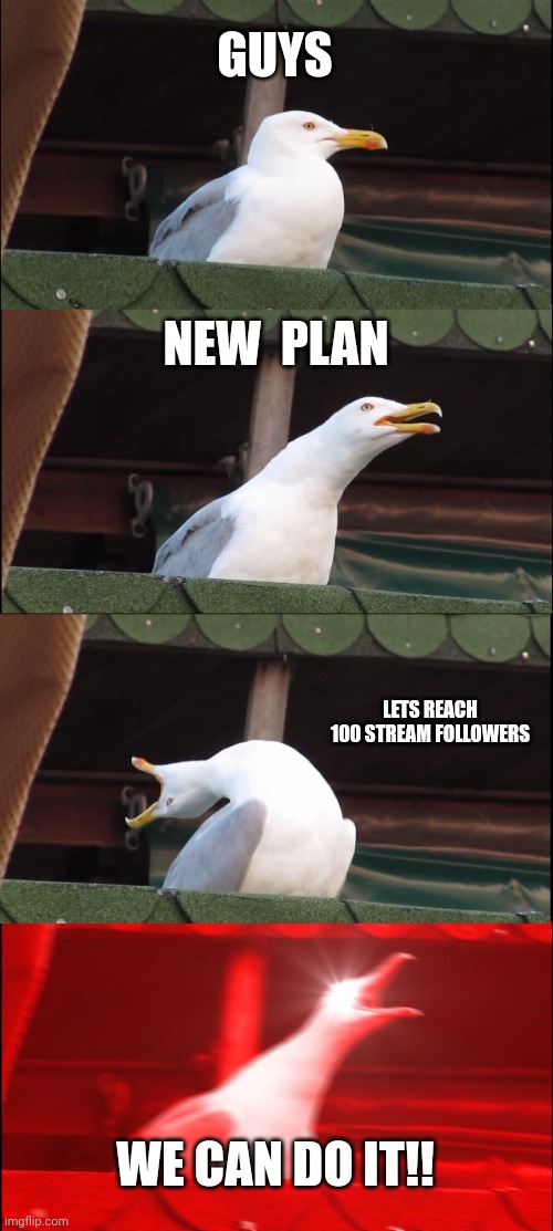gogogo | GUYS; NEW  PLAN; LETS REACH 100 STREAM FOLLOWERS; WE CAN DO IT!! | image tagged in memes,inhaling seagull | made w/ Imgflip meme maker