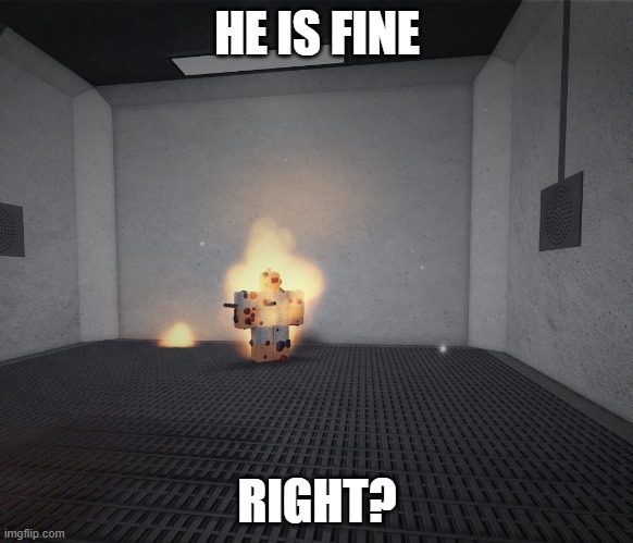 he is on fire | HE IS FINE; RIGHT? | image tagged in help me | made w/ Imgflip meme maker