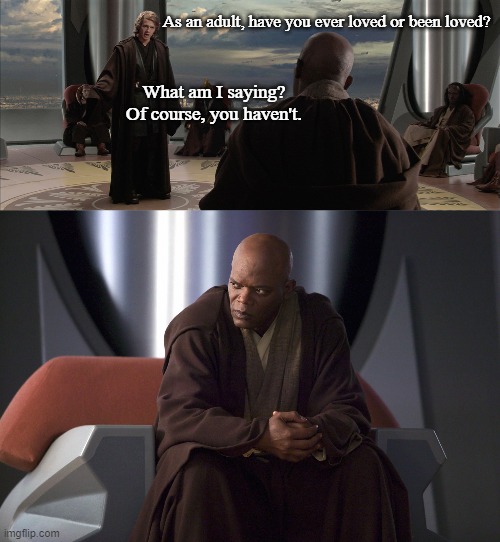 Anakin Channels Nazeem to Remind Mace what the Jedi have denied him | As an adult, have you ever loved or been loved? What am I saying?
Of course, you haven't. | image tagged in anakin jedi council | made w/ Imgflip meme maker