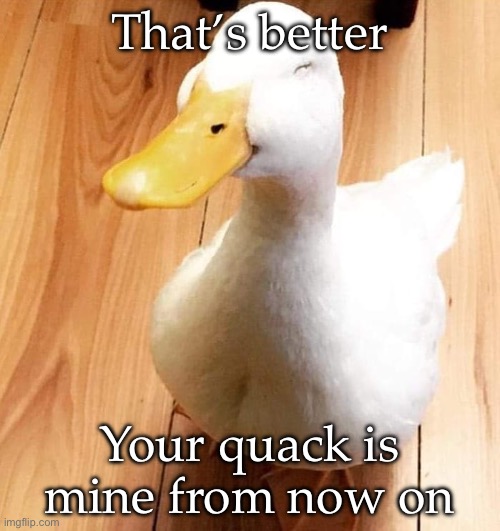SMILE DUCK | That’s better; Your quack is mine from now on | image tagged in smile duck | made w/ Imgflip meme maker
