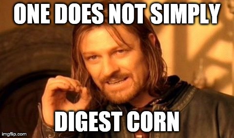 One Does Not Simply Meme | ONE DOES NOT SIMPLY DIGEST CORN | image tagged in memes,one does not simply | made w/ Imgflip meme maker