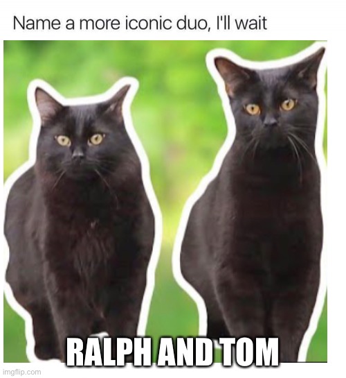 Name a more iconic duo then Ralph and Tom, go ahead, I’ll wait | RALPH AND TOM | image tagged in name a more iconic duo | made w/ Imgflip meme maker