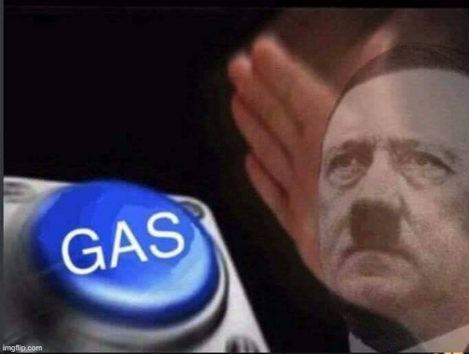 NEIN!!!! | image tagged in hitler gas button | made w/ Imgflip meme maker