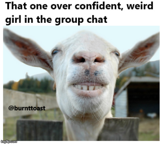 That one weird girl in the groupchat | image tagged in group chats,funny memes | made w/ Imgflip meme maker