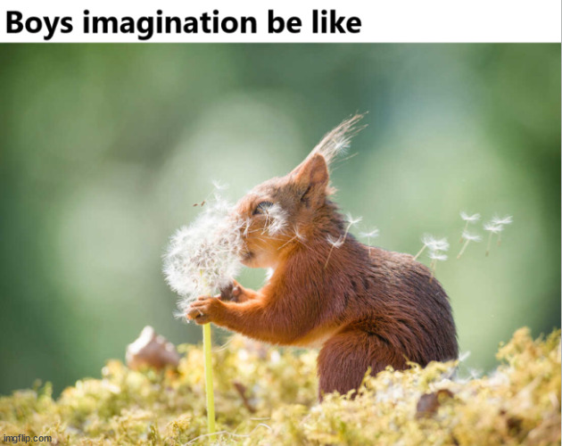 Boys  imagination | image tagged in imagination,boys,funny memes | made w/ Imgflip meme maker