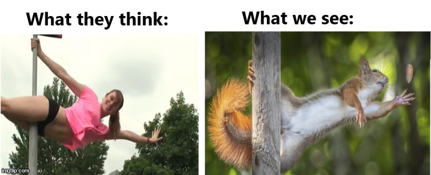 What they think vs what we see | image tagged in funny memes,expectation vs reality | made w/ Imgflip meme maker