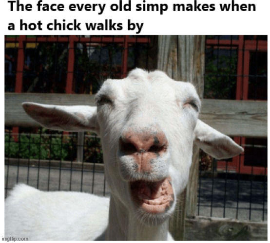 The face old simps make | image tagged in simp,funny meme,the face | made w/ Imgflip meme maker