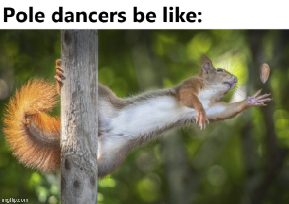 Pole dancers be like | image tagged in pole dancer,funny memes | made w/ Imgflip meme maker