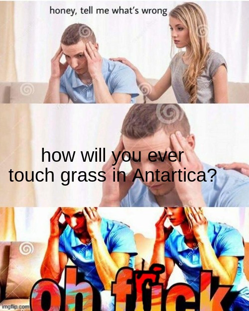 OH frick | how will you ever touch grass in Antartica? | image tagged in oh frick | made w/ Imgflip meme maker