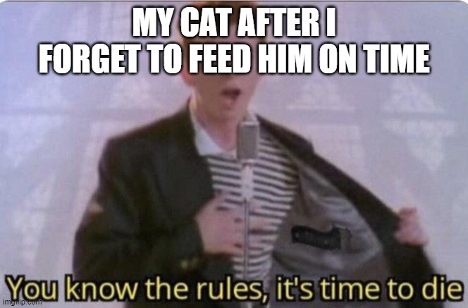 Thats when u know that ur done for | MY CAT AFTER I FORGET TO FEED HIM ON TIME | image tagged in you know the rules its time to die | made w/ Imgflip meme maker