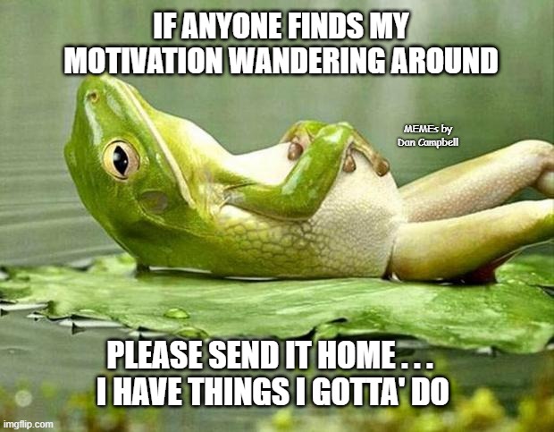 Lazy frog | IF ANYONE FINDS MY MOTIVATION WANDERING AROUND; MEMEs by Dan Campbell; PLEASE SEND IT HOME . . . 
I HAVE THINGS I GOTTA' DO | image tagged in lazy frog | made w/ Imgflip meme maker