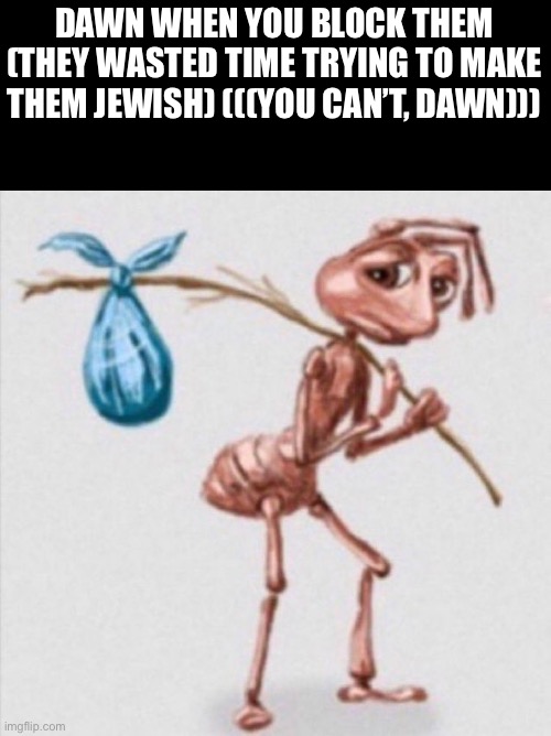 Rushed this | DAWN WHEN YOU BLOCK THEM (THEY WASTED TIME TRYING TO MAKE THEM JEWISH) (((YOU CAN’T, DAWN))) | image tagged in sad ant going home | made w/ Imgflip meme maker