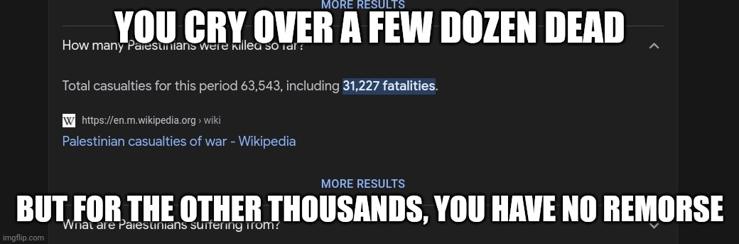 EVEN ELIZABETH IS MORE REASONABLE THAN (((DAWN))) | YOU CRY OVER A FEW DOZEN DEAD; BUT FOR THE OTHER THOUSANDS, YOU HAVE NO REMORSE | made w/ Imgflip meme maker
