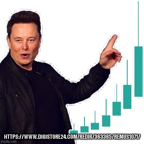 Elon | HTTPS://WWW.DIGISTORE24.COM/REDIR/363385/REMUS1071/ | image tagged in elon | made w/ Imgflip meme maker