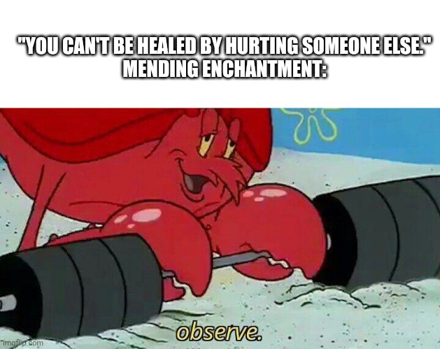 Observe | "YOU CAN'T BE HEALED BY HURTING SOMEONE ELSE."
MENDING ENCHANTMENT: | image tagged in observe | made w/ Imgflip meme maker