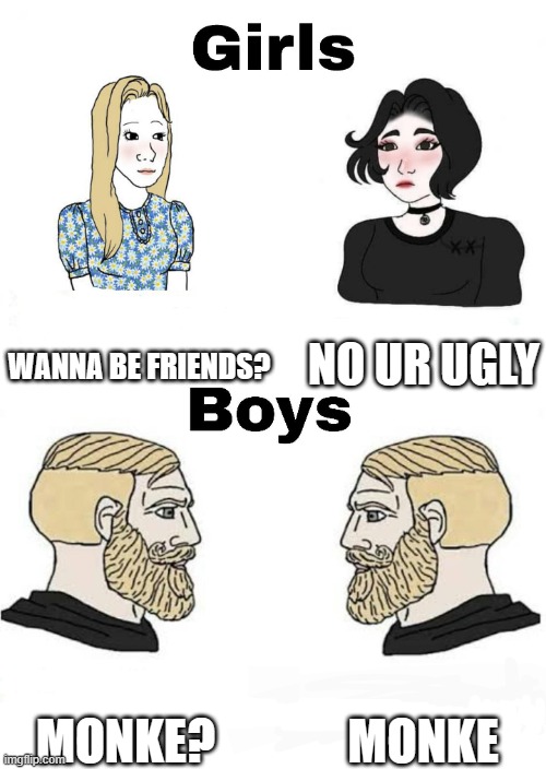 we make friends in like 2 days lol | WANNA BE FRIENDS? NO UR UGLY; MONKE; MONKE? | image tagged in girls vs boys | made w/ Imgflip meme maker