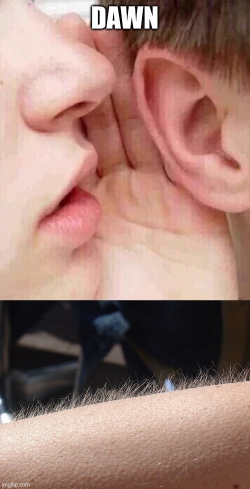 whisper in ear goosebumps | DAWN | image tagged in whisper in ear goosebumps | made w/ Imgflip meme maker