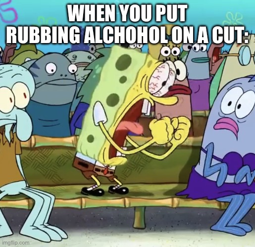 ow | WHEN YOU PUT RUBBING ALCHOHOL ON A CUT: | image tagged in spongebob yelling | made w/ Imgflip meme maker