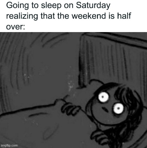 Frick, knowing this is going to take so much excitement out of the weekend :( | made w/ Imgflip meme maker