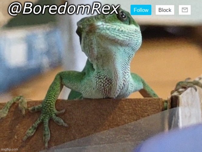 High Quality BoredomRex announcement template Blank Meme Template