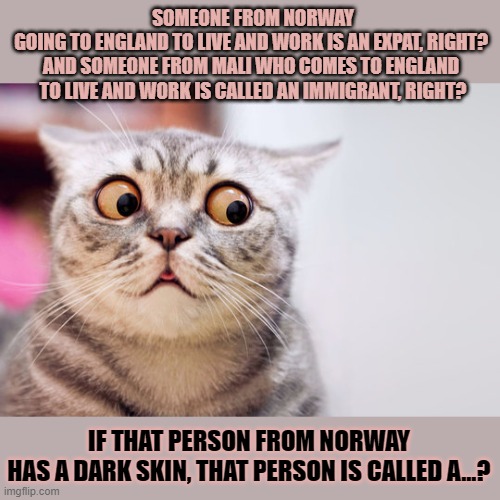 This #lolcat wonders what you call someone who lives and works abroad | SOMEONE FROM NORWAY
GOING TO ENGLAND TO LIVE AND WORK IS AN EXPAT, RIGHT? 
AND SOMEONE FROM MALI WHO COMES TO ENGLAND 
TO LIVE AND WORK IS CALLED AN IMMIGRANT, RIGHT? IF THAT PERSON FROM NORWAY
HAS A DARK SKIN, THAT PERSON IS CALLED A...? | image tagged in lolcat,know the difference,immigration,expats,racism | made w/ Imgflip meme maker